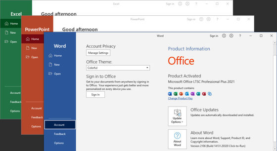 Microsoft Office 2021 Pro Plus ，Lifetime License for Windows & Mac ， Word, Excel, PowerPoint, Outlook