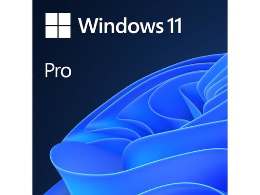 Windows 11 Enterprise Edition, BitLocker & Virtual Desktop 100% Online Activation Globally 