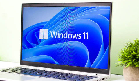 Windows 11 Pro OEM English 64-bit - Business Features with Permanent Digital License