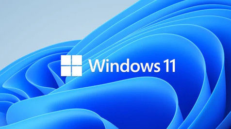 Windows 11 Pro OEM English 64-bit - Business Features with Permanent Digital License