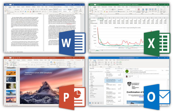 Microsoft Office 2024 Pro Plus  Lifetime License for Windows PC