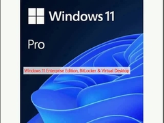 Windows 11 Enterprise Edition, BitLocker & Virtual Desktop