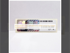 Microsoft Windows 11 Professional OEM License Key Global Digital Download